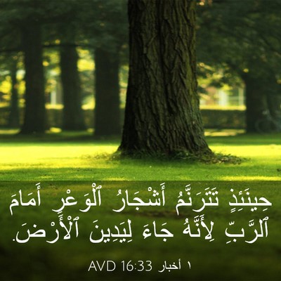 Picture 03 - ١ أخبار 16:33 AVD - حِينَئِذٍ تَتَرَنَّمُ - Bible Verse Picture