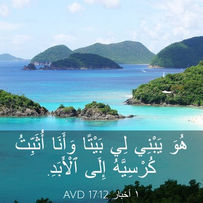 Picture 03 - ١ أخبار 17:12 AVD - هُوَ يَبْنِي لِي بَيْتًا - Bible Verse Picture