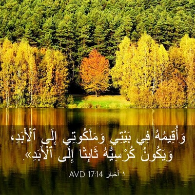 Picture 03 - ١ أخبار 17:14 AVD - وَأُقِيمُهُ فِي بَيْتِي - Bible Verse Picture