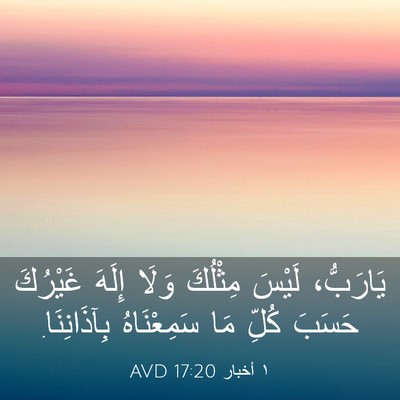 Picture 03 - ١ أخبار 17:20 AVD - يَارَبُّ، لَيْسَ مِثْلُكَ - Bible Verse Picture
