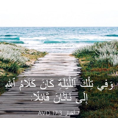 Picture 03 - ١ أخبار 17:3 AVD - وَفِي تِلْكَ ٱللَّيْلَةِ - Bible Verse Picture