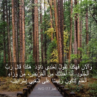 Picture 03 - ١ أخبار 17:7 AVD - وَٱلْآنَ فَهَكَذَا - Bible Verse Picture