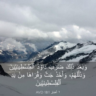 Picture 03 - ١ أخبار 18:1 AVD - وَبَعْدَ ذَلِكَ ضَرَبَ - Bible Verse Picture