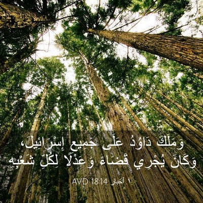 Picture 03 - ١ أخبار 18:14 AVD - وَمَلَكَ دَاوُدُ عَلَى - Bible Verse Picture