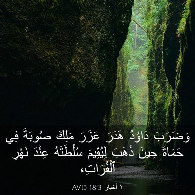 Picture 03 - ١ أخبار 18:3 AVD - وَضَرَبَ دَاوُدُ هَدَرَ - Bible Verse Picture