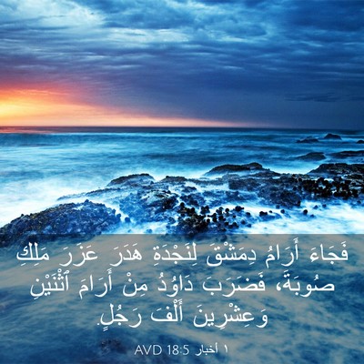 Picture 03 - ١ أخبار 18:5 AVD - فَجَاءَ أَرَامُ دِمَشْقَ - Bible Verse Picture