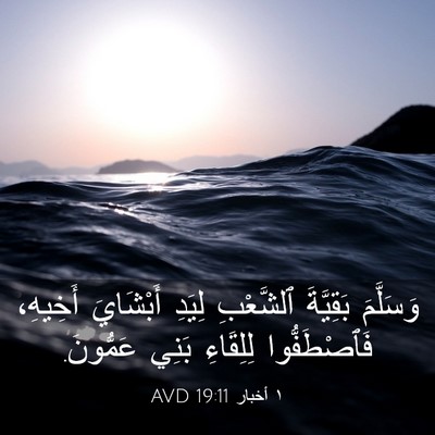 Picture 03 - ١ أخبار 19:11 AVD - وَسَلَّمَ بَقِيَّةَ - Bible Verse Picture