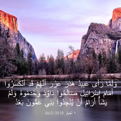 Picture 03 - ١ أخبار 19:19 AVD - وَلَمَّا رَأَى عَبِيدُ - Bible Verse Picture