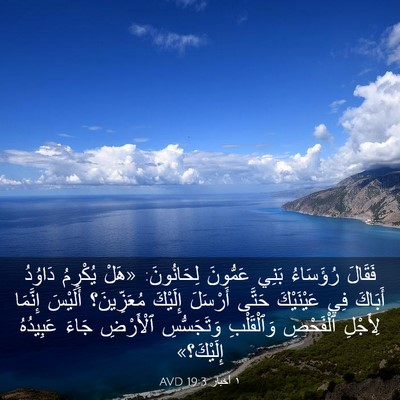 Picture 03 - ١ أخبار 19:3 AVD - فَقَالَ رُؤَسَاءُ بَنِي - Bible Verse Picture