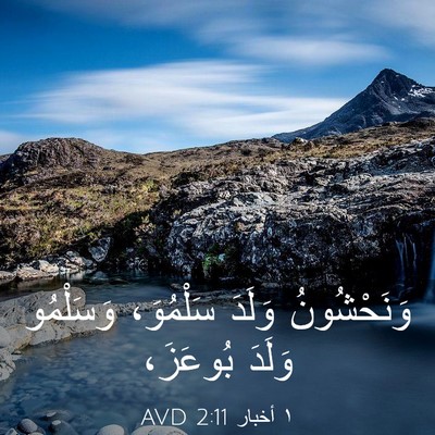 Picture 03 - ١ أخبار 2:11 AVD - وَنَحْشُونُ وَلَدَ - Bible Verse Picture
