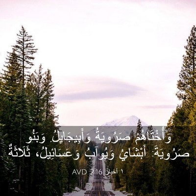 Picture 03 - ١ أخبار 2:16 AVD - وَأُخْتَاهُمْ صَرُويَةُ - Bible Verse Picture