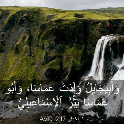 Picture 03 - ١ أخبار 2:17 AVD - وَأَبِيجَايِلُ وَلَدَتْ - Bible Verse Picture