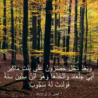Picture 03 - ١ أخبار 2:21 AVD - وَبَعْدُ دَخَلَ حَصْرُونُ - Bible Verse Picture