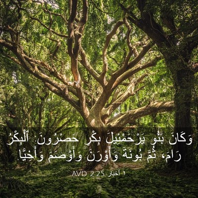 Picture 03 - ١ أخبار 2:25 AVD - وَكَانَ بَنُو - Bible Verse Picture