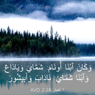 Picture 03 - ١ أخبار 2:28 AVD - وَكَانَ ٱبْنَا أُونَامَ: - Bible Verse Picture
