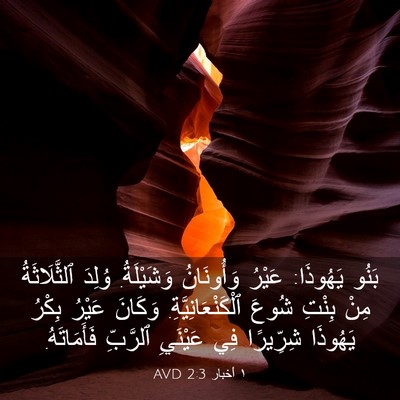 Picture 03 - ١ أخبار 2:3 AVD - بَنُو يَهُوذَا: عَيْرُ - Bible Verse Picture