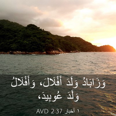Picture 03 - ١ أخبار 2:37 AVD - وَزَابَادُ وَلَدَ - Bible Verse Picture