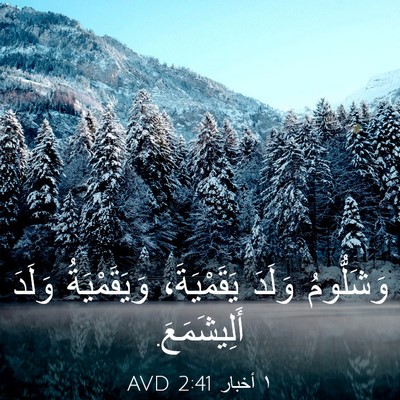 Picture 03 - ١ أخبار 2:41 AVD - وَشَلُّومُ وَلَدَ - Bible Verse Picture