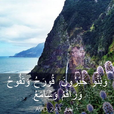 Picture 03 - ١ أخبار 2:43 AVD - وَبَنُو حَبْرُونَ: قُورَحُ - Bible Verse Picture