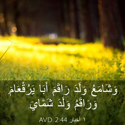Picture 03 - ١ أخبار 2:44 AVD - وَشَامَعُ وَلَدَ رَاقَمَ - Bible Verse Picture