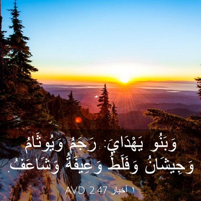 Picture 03 - ١ أخبار 2:47 AVD - وَبَنُو يَهْدَايَ: رَجَمُ - Bible Verse Picture