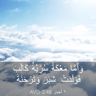 Picture 03 - ١ أخبار 2:48 AVD - وَأَمَّا مَعْكَةُ - Bible Verse Picture