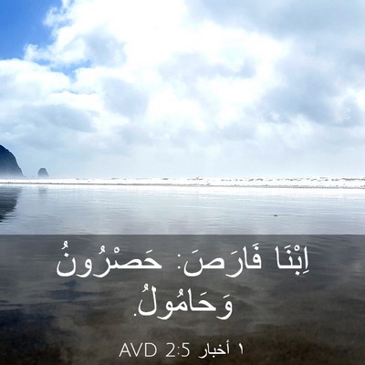 Picture 03 - ١ أخبار 2:5 AVD - اِبْنَا فَارَصَ: حَصْرُونُ - Bible Verse Picture