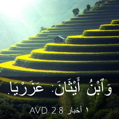 Picture 03 - ١ أخبار 2:8 AVD - وَٱبْنُ أَيْثَانَ: - Bible Verse Picture