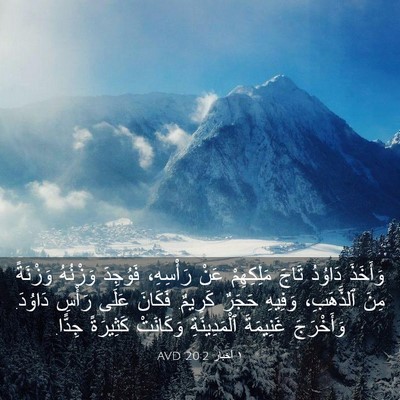 Picture 03 - ١ أخبار 20:2 AVD - وَأَخَذَ دَاوُدُ تَاجَ - Bible Verse Picture