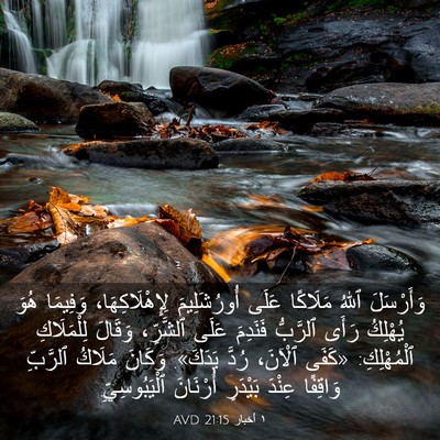 Picture 03 - ١ أخبار 21:15 AVD - وَأَرْسَلَ ٱللهُ مَلَاكًا - Bible Verse Picture