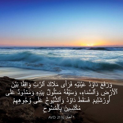 Picture 03 - ١ أخبار 21:16 AVD - وَرَفَعَ دَاوُدُ - Bible Verse Picture