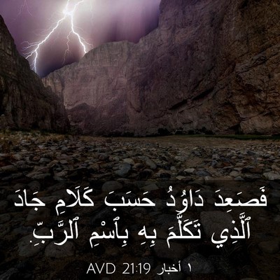 Picture 03 - ١ أخبار 21:19 AVD - فَصَعِدَ دَاوُدُ حَسَبَ - Bible Verse Picture