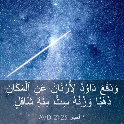 Picture 03 - ١ أخبار 21:25 AVD - وَدَفَعَ دَاوُدُ - Bible Verse Picture