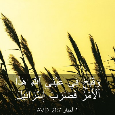 Picture 03 - ١ أخبار 21:7 AVD - وَقَبُحَ فِي عَيْنَيِ - Bible Verse Picture
