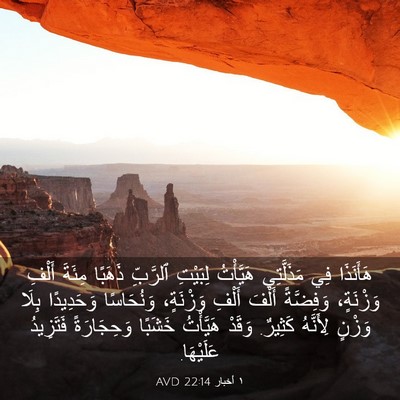 Picture 03 - ١ أخبار 22:14 AVD - هَأَنَذَا فِي مَذَلَّتِي - Bible Verse Picture
