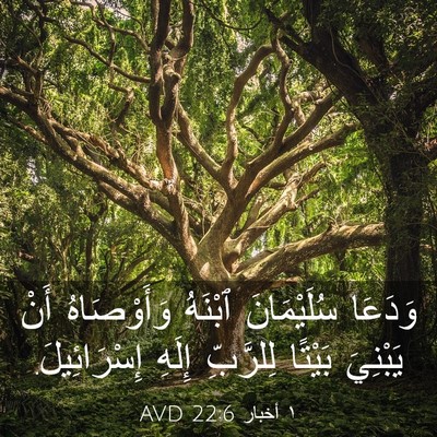 Picture 03 - ١ أخبار 22:6 AVD - وَدَعَا سُلَيْمَانَ - Bible Verse Picture