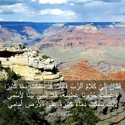 Picture 03 - ١ أخبار 22:8 AVD - فَكَانَ إِلَيَّ كَلَامُ - Bible Verse Picture