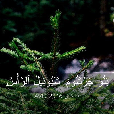 Picture 03 - ١ أخبار 23:16 AVD - بَنُو جَرْشُومَ: - Bible Verse Picture