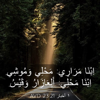 Picture 03 - ١ أخبار 23:21 AVD - اِبْنَا مَرَارِي: مَحْلِي - Bible Verse Picture