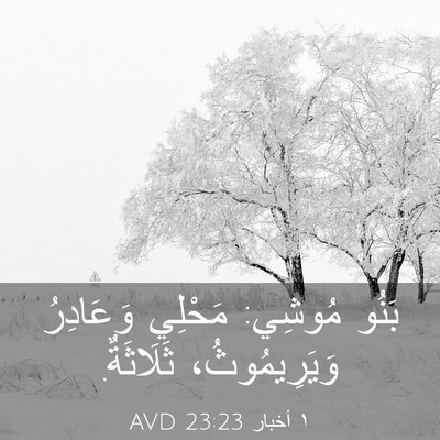 Picture 03 - ١ أخبار 23:23 AVD - بَنُو مُوشِي: مَحْلِي - Bible Verse Picture