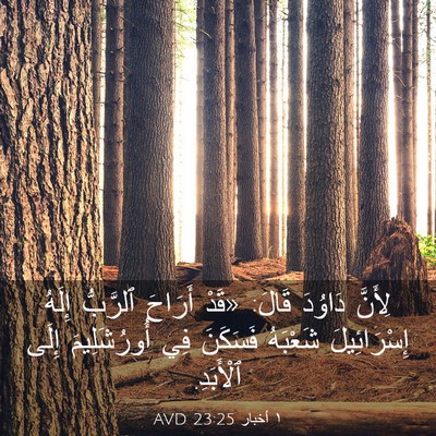 Picture 03 - ١ أخبار 23:25 AVD - لِأَنَّ دَاوُدَ قَالَ: - Bible Verse Picture