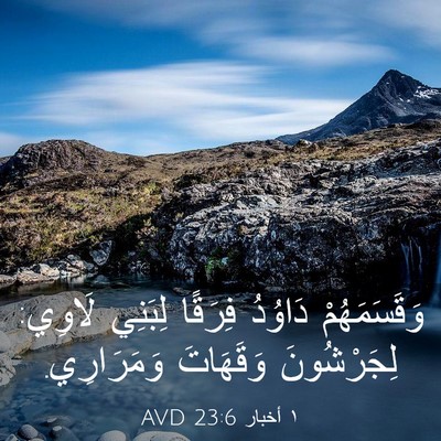 Picture 03 - ١ أخبار 23:6 AVD - وَقَسَمَهُمْ دَاوُدُ - Bible Verse Picture