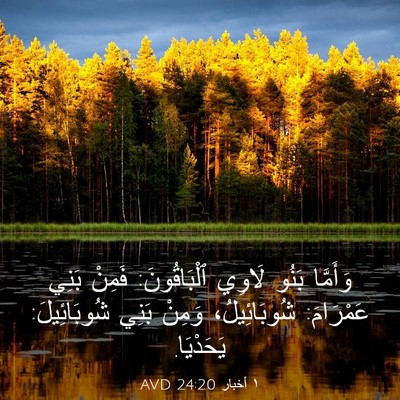 Picture 03 - ١ أخبار 24:20 AVD - وَأَمَّا بَنُو لَاوِي - Bible Verse Picture