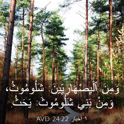 Picture 03 - ١ أخبار 24:22 AVD - وَمِنَ - Bible Verse Picture