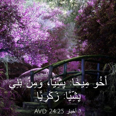 Picture 03 - ١ أخبار 24:25 AVD - أَخُو مِيخَا: يِشِّيَّا، - Bible Verse Picture