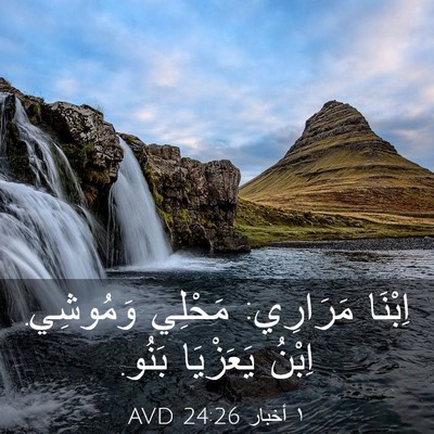 Picture 03 - ١ أخبار 24:26 AVD - اِبْنَا مَرَارِي: مَحْلِي - Bible Verse Picture