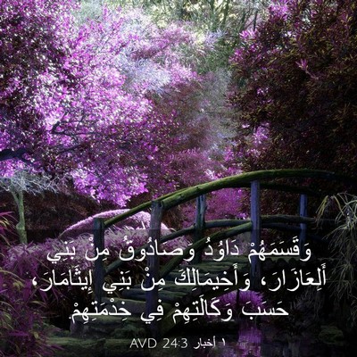 Picture 03 - ١ أخبار 24:3 AVD - وَقَسَمَهُمْ دَاوُدُ - Bible Verse Picture