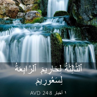 Picture 03 - ١ أخبار 24:8 AVD - ٱلثَّالِثَةُ لِحَارِيمَ. - Bible Verse Picture