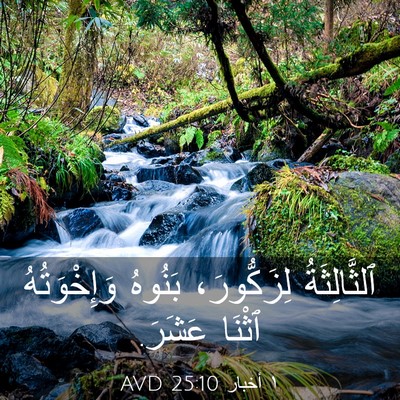 Picture 03 - ١ أخبار 25:10 AVD - ٱلثَّالِثَةُ لِزَكُّورَ، - Bible Verse Picture
