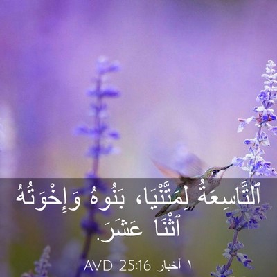 Picture 03 - ١ أخبار 25:16 AVD - ٱلتَّاسِعَةُ - Bible Verse Picture